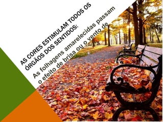 As cores estimulam todos os órgãos dos sentidos:As folhagens amarelecidas passam o efeito de brisa ou o vento de outono, 