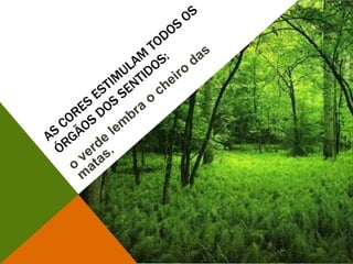 As cores estimulam todos os órgãos dos sentidos:o verde lembra o cheiro das matas.