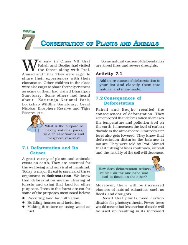 essay for conservation of plants and animals