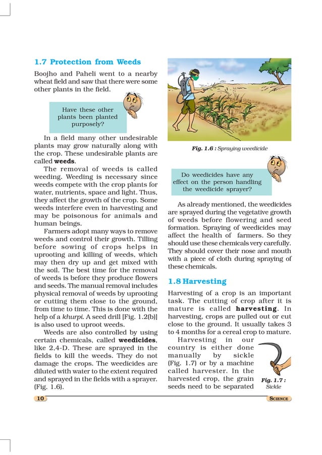 8 crop production and management