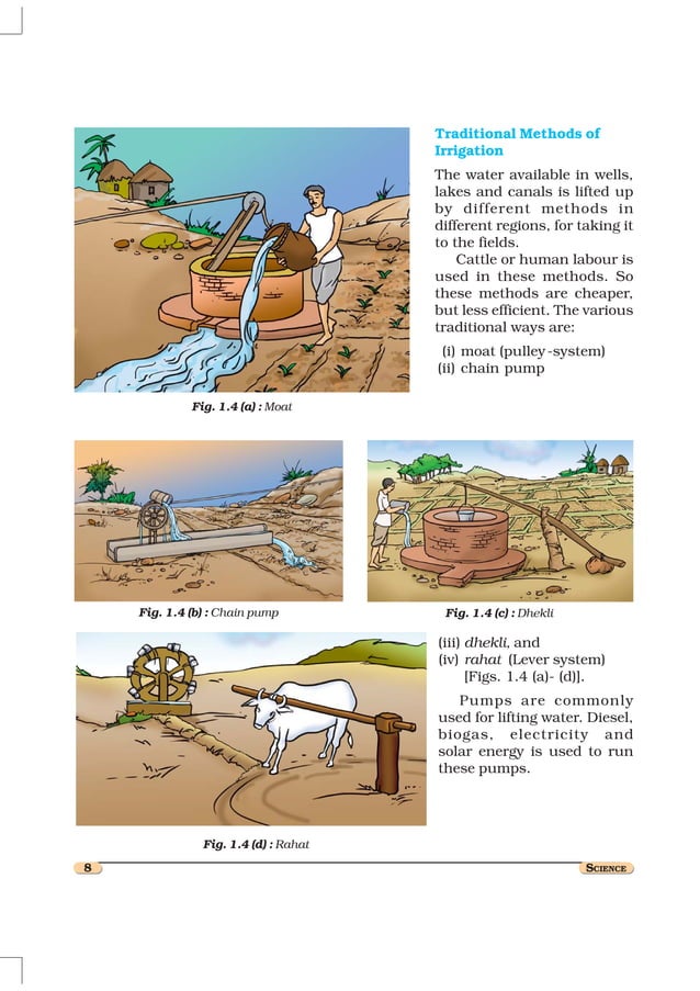 8 crop production and management