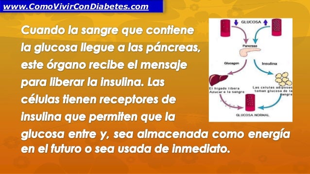 Cuales Son los Primeros Síntomas de la Diabetes Cuales Son los Primeros Síntomas de la Diabetes