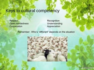 Keys to cultural competency
Respect Recognition
Open mindedness Understanding
Cooperation Appreciation
Remember: Who’s “different” depends on the situation
 