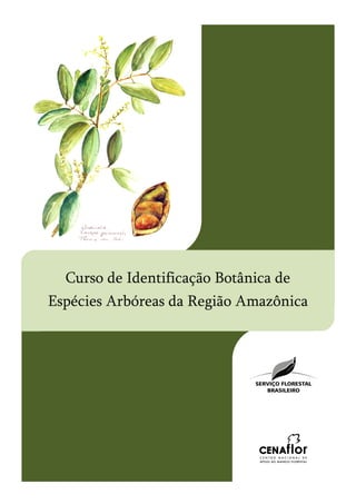 Curso de Identificação Botânica de
Espécies Arbóreas da Região Amazônica
 