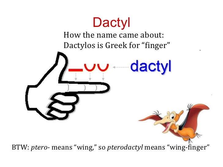 8-dactyldenouementdeusexmachina-2-728.jpg