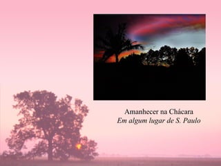 Amanhecer na Chácara Em algum lugar de S. Paulo 