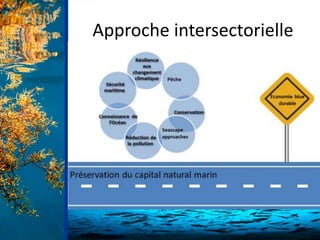 Approche intersectorielle
 