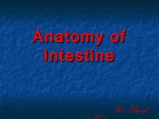 Anatomy ofAnatomy of
IntestineIntestine
Dr. Sherif
 