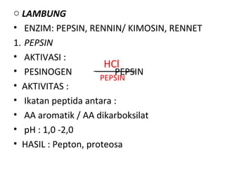 o LAMBUNG
• ENZIM: PEPSIN, RENNIN/ KIMOSIN, RENNET
1. PEPSIN
• AKTIVASI :
                      HCl
• PESINOGEN             PEPSIN
                     PEPSIN
• AKTIVITAS :
• Ikatan peptida antara :
• AA aromatik / AA dikarboksilat
• pH : 1,0 -2,0
• HASIL : Pepton, proteosa
 
