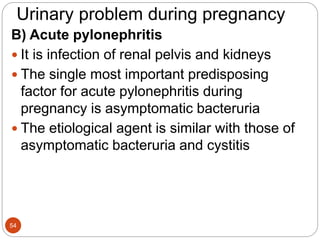 Urinary problem during pregnancy
B) Acute pylonephritis
 It is infection of renal pelvis and kidneys
 The single most important predisposing
factor for acute pylonephritis during
pregnancy is asymptomatic bacteruria
 The etiological agent is similar with those of
asymptomatic bacteruria and cystitis
54
 