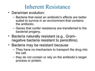 Inherent Resistance
• Darwinian evolution:
– Bacteria that resist an antibiotic's effects are better
suited to survive in an environment that contains
the antibiotic.
– Genes that confer resistance are transferred to the
bacterial progeny.
• Bacteria naturally resistant (e.g., Gram-
negative bacteria resistant to penicillins).
• Bacteria may be resistant because
– They have no mechanism to transport the drug into
the cell.
– they do not contain or rely on the antibiotic’s target
process or protein.
 