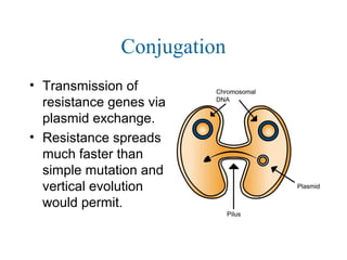 Conjugation
• Transmission of
resistance genes via
plasmid exchange.
• Resistance spreads
much faster than
simple mutation and
vertical evolution
would permit.
 