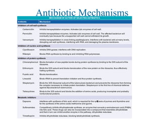 Antibiotic Mechanisms
 