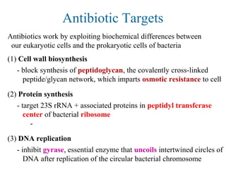 Antibiotic Targets
Antibiotics work by exploiting biochemical differences between
our eukaryotic cells and the prokaryotic cells of bacteria
(1) Cell wall biosynthesis
- block synthesis of peptidoglycan, the covalently cross-linked
peptide/glycan network, which imparts osmotic resistance to cell
(2) Protein synthesis
- target 23S rRNA + associated proteins in peptidyl transferase
center of bacterial ribosome
-
(3) DNA replication
- inhibit gyrase, essential enzyme that uncoils intertwined circles of
DNA after replication of the circular bacterial chromosome
 