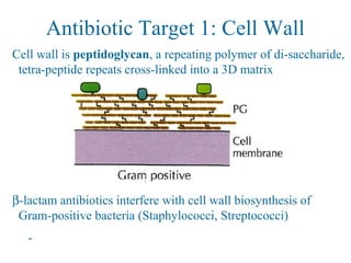 Antibiotic Target 1: Cell Wall
Cell wall is peptidoglycan, a repeating polymer of di-saccharide,
tetra-peptide repeats cross-linked into a 3D matrix
β-lactam antibiotics interfere with cell wall biosynthesis of
Gram-positive bacteria (Staphylococci, Streptococci)
-
 