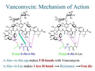 Vancomycin: Mechanism of Action
D-Ala—D-Ala cap makes 5 H-bonds with Vancomycin
D-Ala—D-Lac makes 1 less H-bond Resistance You die
 