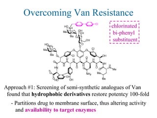 Overcoming Van Resistance
Approach #1: Screening of semi-synthetic analogues of Van
found that hydrophobic derivatives restore potentcy 100-fold
- Partitions drug to membrane surface, thus altering activity
and availability to target enzymes
chlorinated
bi-phenyl
substituent
 