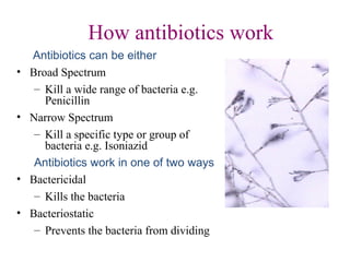How antibiotics work
Antibiotics can be either
• Broad Spectrum
– Kill a wide range of bacteria e.g.
Penicillin
• Narrow Spectrum
– Kill a specific type or group of
bacteria e.g. Isoniazid
Antibiotics work in one of two ways
• Bactericidal
– Kills the bacteria
• Bacteriostatic
– Prevents the bacteria from dividing
 