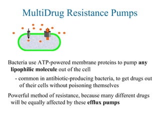 MultiDrug Resistance Pumps
Bacteria use ATP-powered membrane proteins to pump any
lipophilic molecule out of the cell
- common in antibiotic-producing bacteria, to get drugs out
of their cells without poisoning themselves
Powerful method of resistance, because many different drugs
will be equally affected by these efflux pumps
 