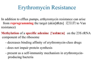 Erythromycin Resistance
In addition to efflux pumps, erthyromycin resistance can arise
from reprogramming the target (akin[ 'k n]ə ɪ 近似的 to Van
resistance)
Methylation of a specific adenine ['æd n n]ə ɪ on the 23S rRNA
component of the ribosome
- decreases binding affinity of erythromycin-class drugs
- does not impair protein synthesis
- present as a self-immunity mechanism in erythromycin-
producing bacteria
 