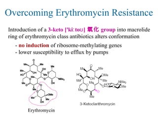Overcoming Erythromycin Resistance
Introduction of a 3-keto ['ki to ]ː ʊ 氧化 group into macrolide
ring of erythromycin class antibiotics alters conformation
- no induction of ribosome-methylating genes
- lower susceptibility to efflux by pumps
Erythromycin
 
