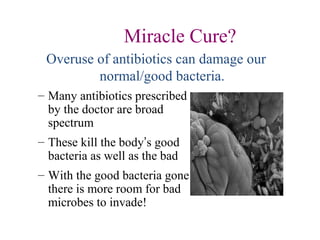 Miracle Cure?
– Many antibiotics prescribed
by the doctor are broad
spectrum
– These kill the body’s good
bacteria as well as the bad
– With the good bacteria gone
there is more room for bad
microbes to invade!
Overuse of antibiotics can damage our
normal/good bacteria.
 