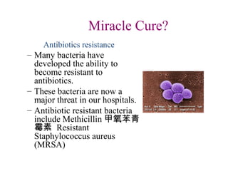 Miracle Cure?
Antibiotics resistance
– Many bacteria have
developed the ability to
become resistant to
antibiotics.
– These bacteria are now a
major threat in our hospitals.
– Antibiotic resistant bacteria
include Methicillin 甲氧苯青
霉素 Resistant
Staphylococcus aureus
(MRSA)
 
