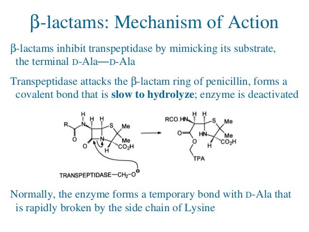 8 Drug Resistance 8-drug-resistance