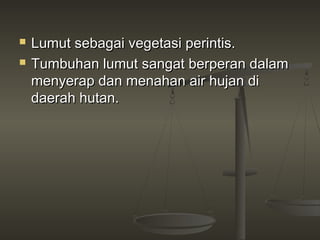    Lumut sebagai vegetasi perintis.
   Tumbuhan lumut sangat berperan dalam
    menyerap dan menahan air hujan di
    daerah hutan.
 