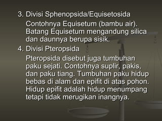 3. Divisi Sphenopsida/Equisetosida
   Contohnya Equisetum (bambu air).
   Batang Equisetum mengandung silica
   dan daunnya berupa sisik.
4. Divisi Pteropsida
   Pteropsida disebut juga tumbuhan
   paku sejati. Contohnya suplir, pakis,
   dan paku tiang. Tumbuhan paku hidup
   bebas di alam dan epifit di atas pohon.
   Hidup epifit adalah hidup menumpang
   tetapi tidak merugikan inangnya.
 