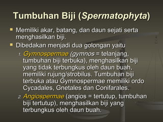 Tumbuhan Biji (Spermatophyta)
   Memiliki akar, batang, dan daun sejati serta
    menghasilkan biji.
   Dibedakan menjadi dua golongan yaitu
    1. Gymnospermae (gymnos = telanjang,
       tumbuhan biji terbuka), menghasilkan biji
       yang tidak terbungkus oleh daun buah,
       memiliki rujung/strobilus. Tumbuhan biji
       terbuka atau Gymnospermae memiliki ordo
       Cycadales, Gnetales dan Conifarales.
    2. Angiospermae (angios = tertutup, tumbuhan
       biji tertutup), menghasilkan biji yang
       terbungkus oleh daun buah.
 