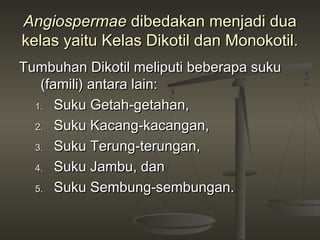 Angiospermae dibedakan menjadi dua
kelas yaitu Kelas Dikotil dan Monokotil.
Tumbuhan Dikotil meliputi beberapa suku
   (famili) antara lain:
  1. Suku Getah-getahan,

  2. Suku Kacang-kacangan,

  3. Suku Terung-terungan,

  4. Suku Jambu, dan

  5. Suku Sembung-sembungan.
 