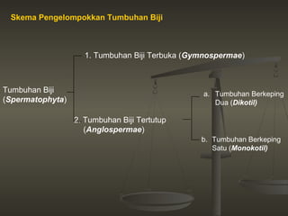 Skema Pengelompokkan Tumbuhan Biji



                    1. Tumbuhan Biji Terbuka (Gymnospermae)



Tumbuhan Biji                                    a. Tumbuhan Berkeping
(Spermatophyta)                                     Dua (Dikotil)

                  2. Tumbuhan Biji Tertutup
                     (Anglospermae)
                                                b. Tumbuhan Berkeping
                                                   Satu (Monokotil)
 
