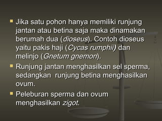    Jika satu pohon hanya memiliki runjung
    jantan atau betina saja maka dinamakan
    berumah dua (dioseus). Contoh dioseus
    yaitu pakis haji (Cycas rumphii) dan
    melinjo (Gnetum gnemon).
   Runjung jantan menghasilkan sel sperma,
    sedangkan runjung betina menghasilkan
    ovum.
   Peleburan sperma dan ovum
    menghasilkan zigot.
 