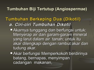 Tumbuhan Biji Tertutup (Angiospermae)

Tumbuhan Berkeping Dua (Dikotil)
 a. Ciri-ciri Tumbuhan Dikotil
   Akarnya tunggang dan berfungsi untuk:
    Menyerap air dan garam-garam mineral
    yang larut dalam air tanah; untuk itu
    akar dilengkapi dengan rambut akar dan
    tudung akar.
   Akar berfungsi Memperkokoh berdirinya
    batang, bernapas, menyimpan
    cadangan makanan,
 