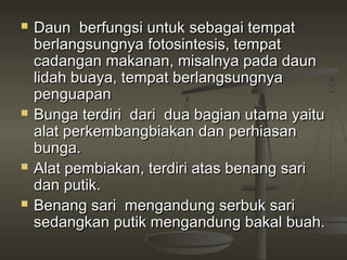    Daun berfungsi untuk sebagai tempat
    berlangsungnya fotosintesis, tempat
    cadangan makanan, misalnya pada daun
    lidah buaya, tempat berlangsungnya
    penguapan
   Bunga terdiri dari dua bagian utama yaitu
    alat perkembangbiakan dan perhiasan
    bunga.
   Alat pembiakan, terdiri atas benang sari
    dan putik.
   Benang sari mengandung serbuk sari
    sedangkan putik mengandung bakal buah.
 