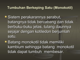 Tumbuhan Berkeping Satu (Monokotil)

 Sistem perakarannya serabut,
  batangnya tidak bercabang dan tidak
  berbuku-buku jelas, tulang daunnya
  sejajar dengan kotiledon berjumlah
  satu.
 Batang monokotil tidak memiliki

  kambium sehingga batang monokotil
  tidak dapat tumbuh membesar.
 