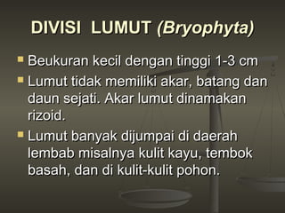 DIVISI LUMUT (Bryophyta)
 Beukuran kecil dengan tinggi 1-3 cm
 Lumut tidak memiliki akar, batang dan

  daun sejati. Akar lumut dinamakan
  rizoid.
 Lumut banyak dijumpai di daerah

  lembab misalnya kulit kayu, tembok
  basah, dan di kulit-kulit pohon.
 