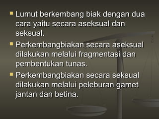  Lumut berkembang biak dengan dua
  cara yaitu secara aseksual dan
  seksual.
 Perkembangbiakan secara aseksual

  dilakukan melalui fragmentasi dan
  pembentukan tunas.
 Perkembangbiakan secara seksual

  dilakukan melalui peleburan gamet
  jantan dan betina.
 