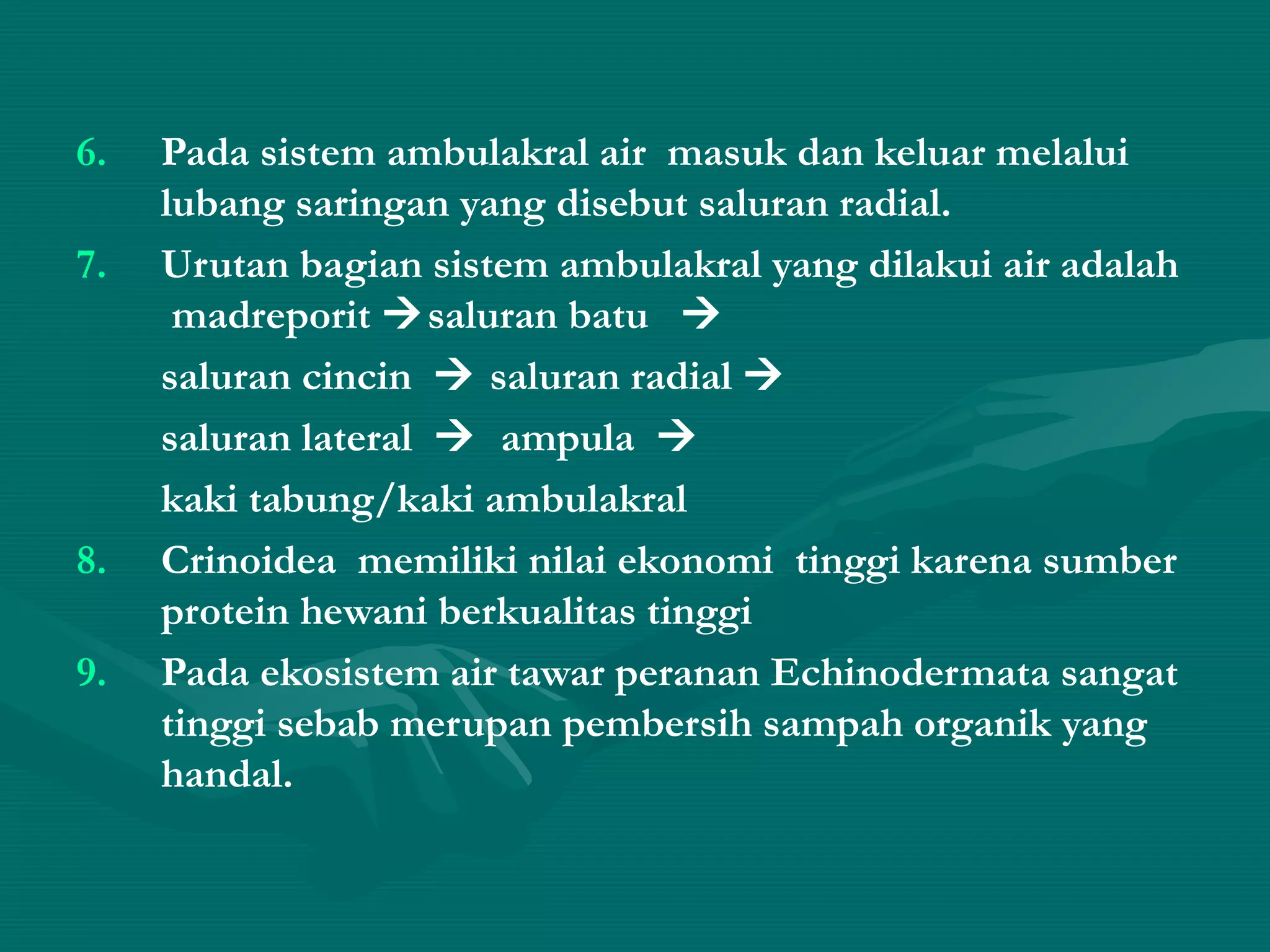 6. Pada sistem ambulakral air masuk dan keluar melalui
lubang saringan yang disebut saluran radial.
7. Urutan bagian sistem ambulakral yang dilakui air adalah
madreporit saluran batu 
saluran cincin  saluran radial 
saluran lateral  ampula 
kaki tabung/kaki ambulakral
8. Crinoidea memiliki nilai ekonomi tinggi karena sumber
protein hewani berkualitas tinggi
9. Pada ekosistem air tawar peranan Echinodermata sangat
tinggi sebab merupan pembersih sampah organik yang
handal.
 