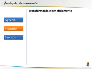 Evolução da economia
              Transformação e beneficiamento

Agrícola

Industrial

Serviços
 