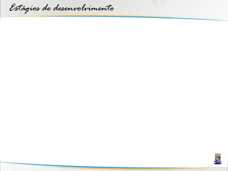 Estágios de desenvolvimento
 
