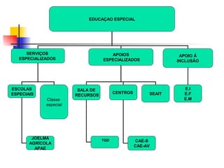 EDUCAÇAO ESPECIAL




      SERVIÇOS                        APOIOS                     APOIO Á
   ESPECIALIZADOS                  ESPECIALIZADOS               INCLUSÃO




ESCOLAS                  SALA DE                                  E.I
ESPECIAIS                                CENTROS        SEAIT     E.F
                        RECURSOS
             Classe                                               E.M
             especial




        JOELMA                     TGD             CAE-S
       AGRÍCOLA
                                                   CAE-AV
         APAE
 