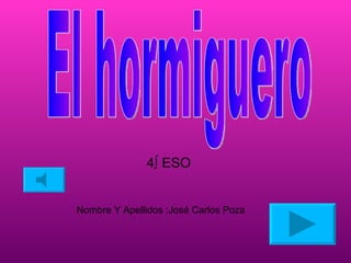 4º ESO Nombre Y Apellidos :José Carlos Poza El hormiguero 