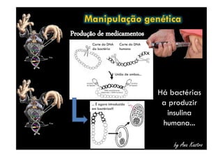 Manipulação genética
Corte do DNA
da bactéria
Corte do DNA
humano
União de ambos...
by Ana Kastro
Há bactérias
a produzir
insulina
humana...
... É agora introduzido
em bactérias!!!
 