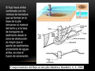 El flujo hacia arriba
combinado con los
vórtices de herradura
que se forman en la
base de la pila
remueven el material
del lecho y si la tasa
de transporte de
sedimento desde la
zona de obstrucción
es mayor que el
aporte de sedimentos
proveniente de aguas
arriba, se crea el
hueco de socavación.
 