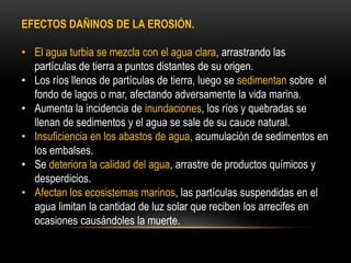 EFECTOS DAÑINOS DE LA EROSIÓN.
• El agua turbia se mezcla con el agua clara, arrastrando las
partículas de tierra a puntos distantes de su origen.
• Los ríos llenos de partículas de tierra, luego se sedimentan sobre el
fondo de lagos o mar, afectando adversamente la vida marina.
• Aumenta la incidencia de inundaciones, los ríos y quebradas se
llenan de sedimentos y el agua se sale de su cauce natural.
• Insuficiencia en los abastos de agua, acumulación de sedimentos en
los embalses.
• Se deteriora la calidad del agua, arrastre de productos químicos y
desperdicios.
• Afectan los ecosistemas marinos, las partículas suspendidas en el
agua limitan la cantidad de luz solar que reciben los arrecifes en
ocasiones causándoles la muerte.
 