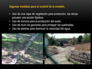 Algunas medidas para el control de la erosión.
• Uso de una capa de vegetación para protección, las raíces
proveen una acción fijadora.
• Uso de troncos para la protección del suelo.
• Uso de muro de gaviones para proteger las quebradas.
• Uso de piedras para disminuir la velocidad del agua.
 