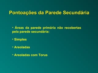 PPoonnttooaaççõõeess ddaa PPaarreeddee SSeeccuunnddáárriiaa 
• Áreas da parede primária não recobertas 
pela parede secundária: 
• Simples 
• Areoladas 
• Areoladas com Torus 
 