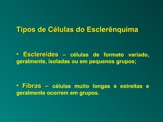 Tipos ddee CCéélluullaass ddoo EEsscclleerrêênnqquuiimmaa 
• EEsscclleerreeííddeess –– células de formato variado, 
geralmente, isoladas ou em pequenos grupos; 
• FFiibbrraass –– células muito longas e estreitas e 
geralmente ocorrem em grupos. 
 